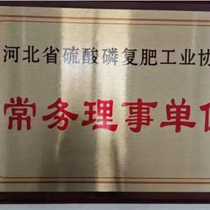 河北省硫酸麟复肥工业协会常务理事单位